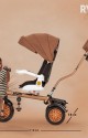 Rival RV505 Casablanca Ebeveyn kontrollü 3 Tekerlekli Bisiklet Gold Kahve